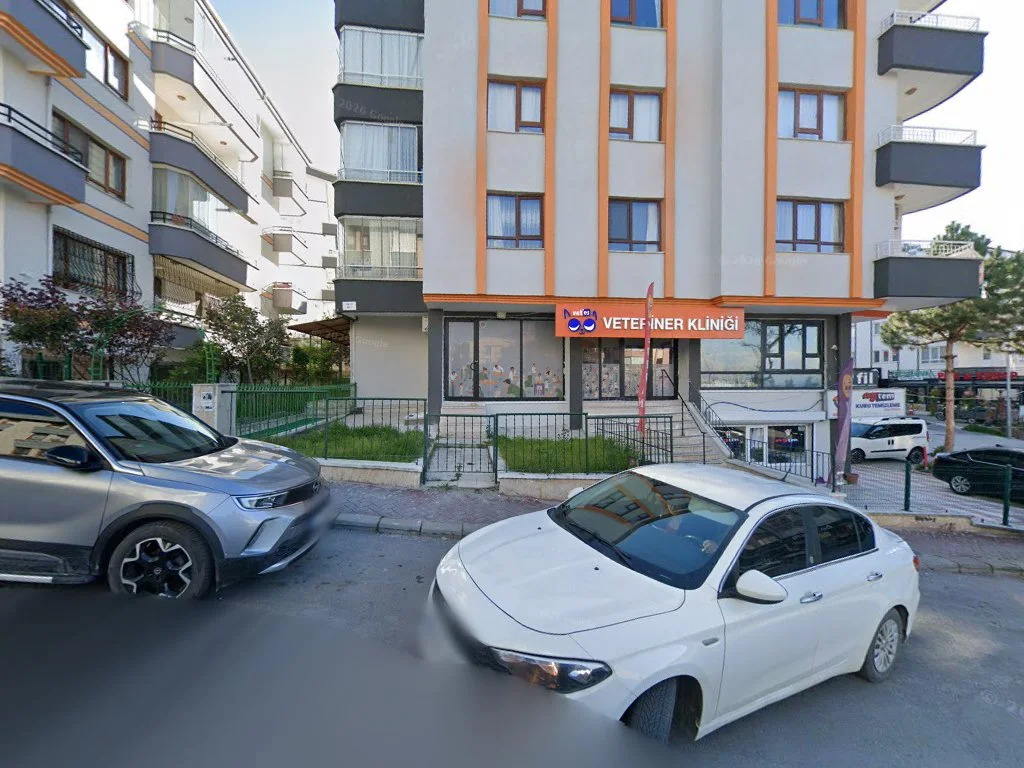 Vetes Veteriner Kliniği – Street View ve 360° · Birlik, Ankara