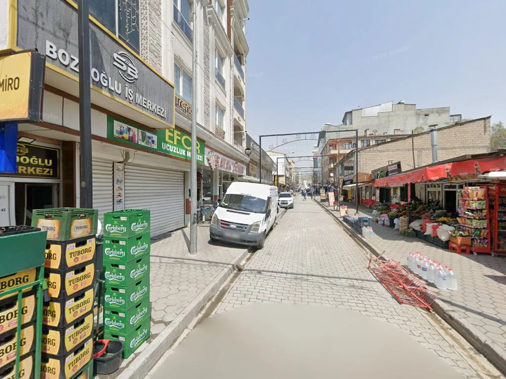 Ayanis Tur – Street View ve 360° · Bahçivan, Van