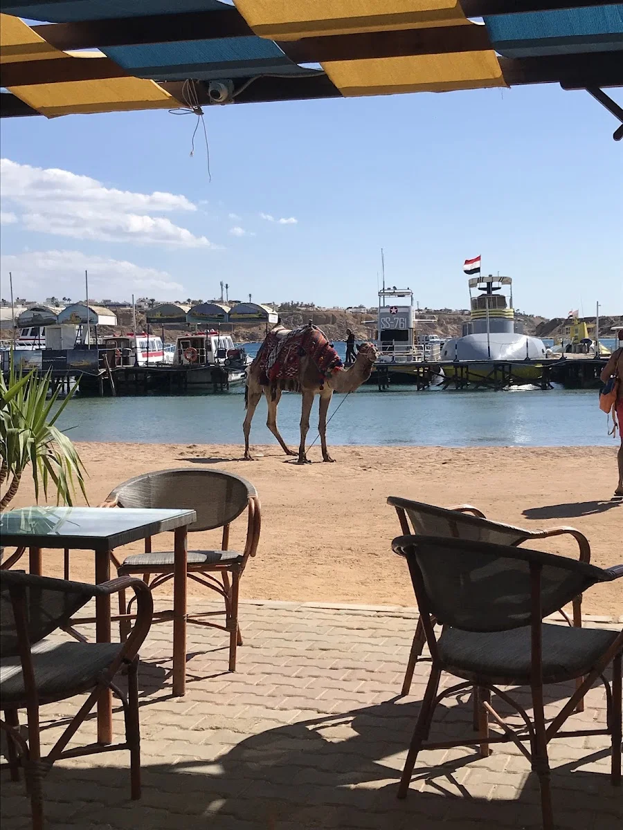 GeziGo - Çorlu Tur Seyahat Acentası – İç · Çorlu, Tekirdağ