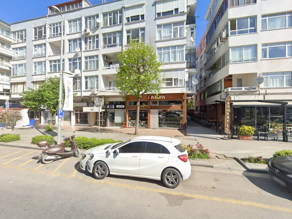 ALPA Müzik Elektronik – Street View ve 360° · Kurtköy, Yalova