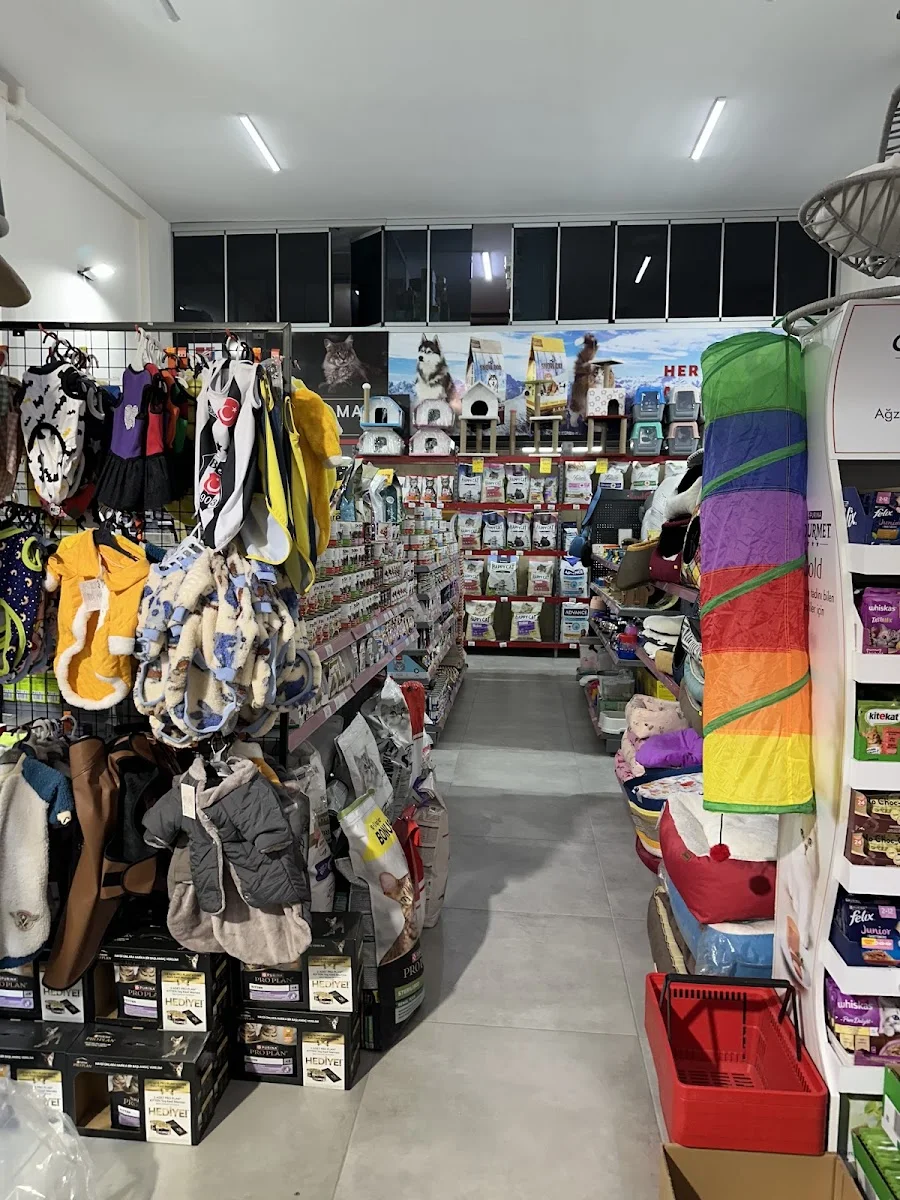 İkizler Yem Mama Market – Ziyaretçi fotoğrafı: Furkan · Bağlum, Ankara