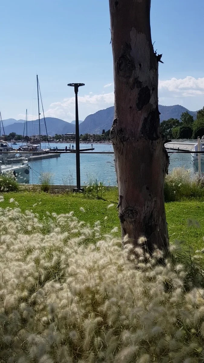 Gökova Ören Marina – Marina · Milas, Muğla