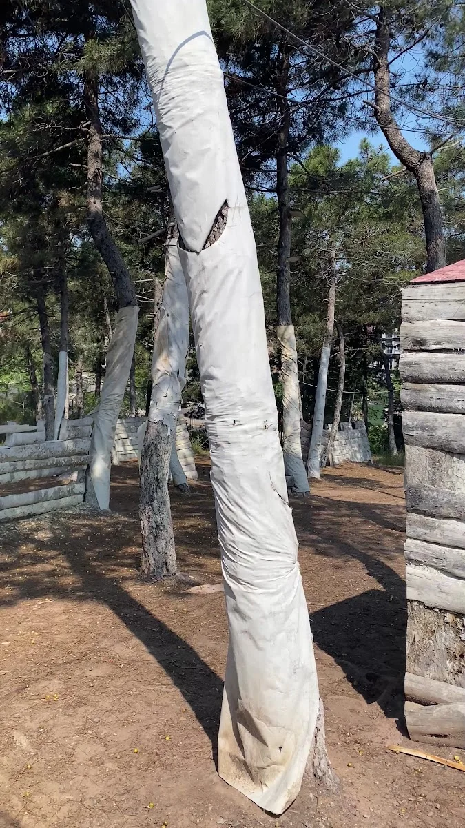 Natural Paintball & Laser Tag – Sahibinin seçtikleri · Aydinevler, İstanbul