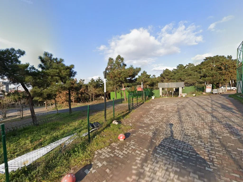 Natural Paintball & Laser Tag – Street View ve 360° · Aydinevler, İstanbul