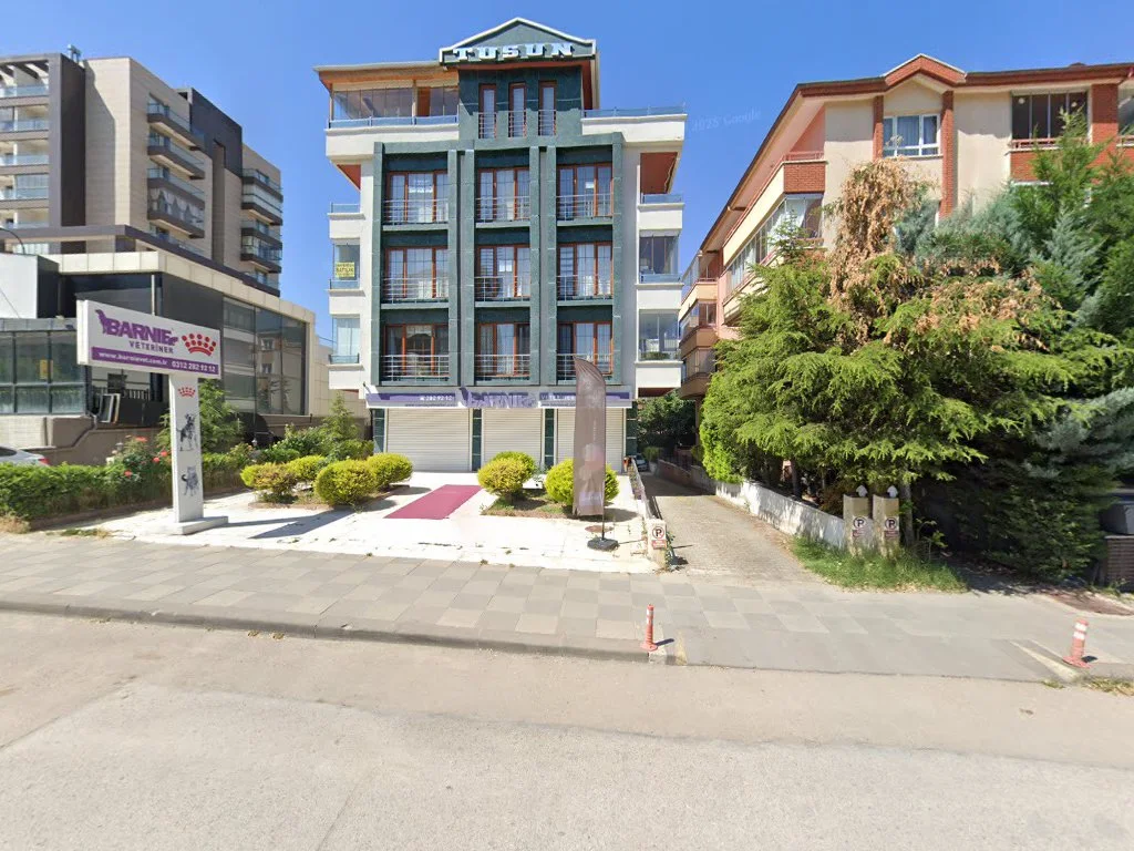 Barnievet Veteriner Sağlık Hiz. Tic. Taah. Ltd. Şti – Street View ve 360° · Eryamanevleri, Ankara