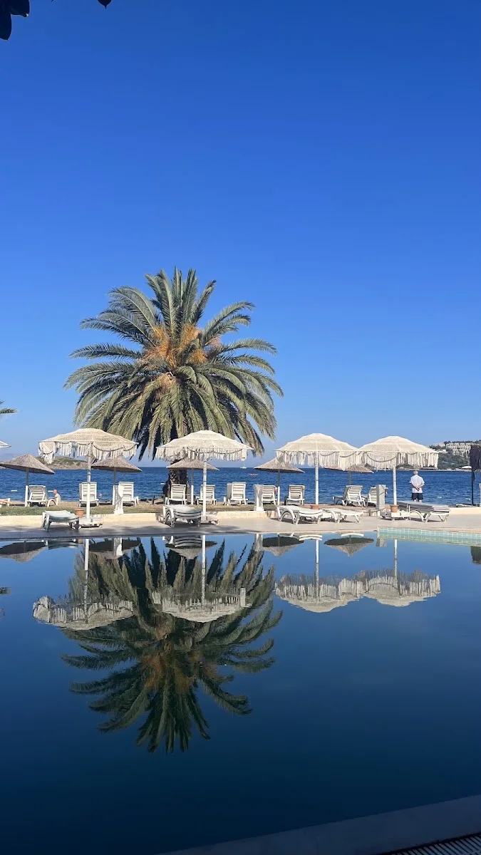 Turrotası.com – En son · Mecidiyeköy, İstanbul