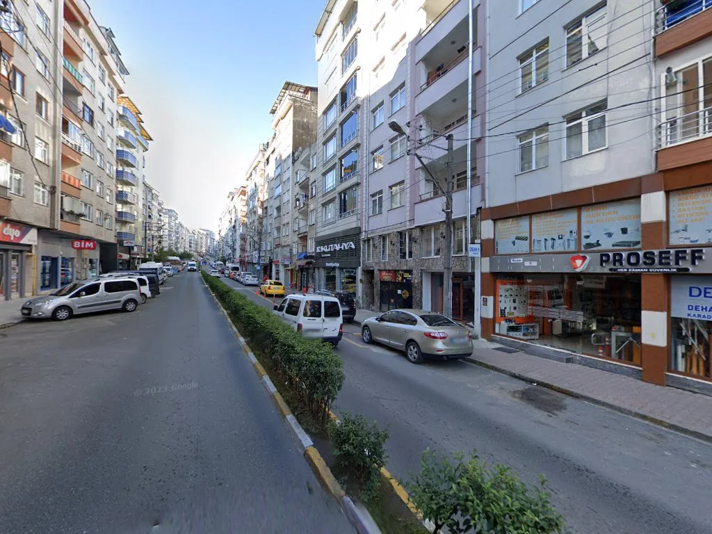 PROSEFF ELEKTRONİK GÜVENLİK SİSTEMLERİ – Street View ve 360° · Aksu, Giresun