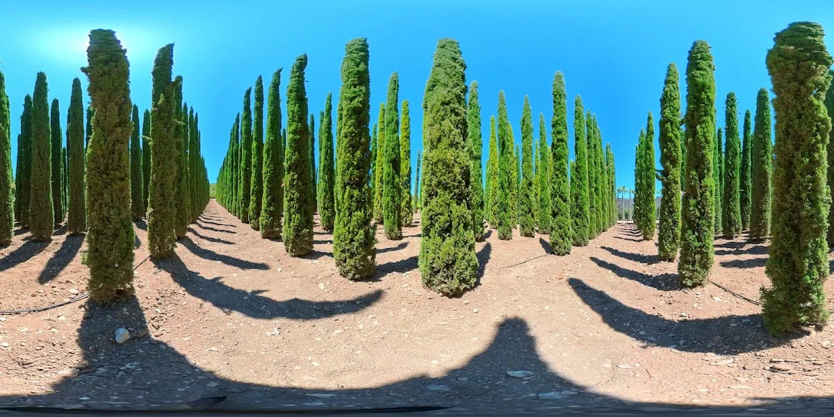 Uzbaş Arboretum – Street View ve 360° · Urla, İzmir