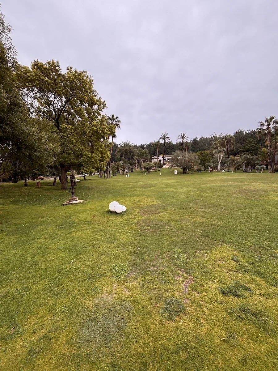 Uzbaş Arboretum – Ziyaretçi fotoğrafı: didi a. · Urla, İzmir