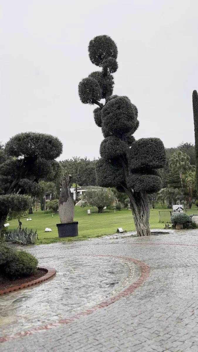 Uzbaş Arboretum – Ziyaretçi fotoğrafı: didi a. · Urla, İzmir