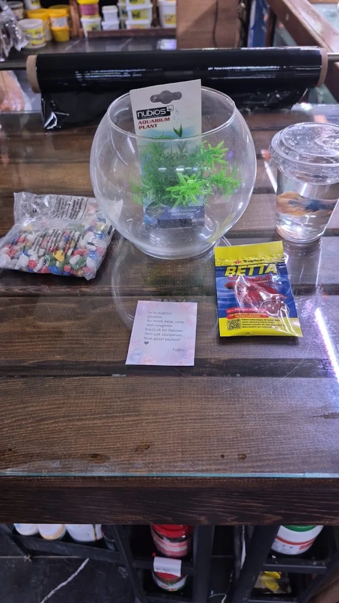 Cikletist Akvaryum Petshop – En son · Gümüşpala, İstanbul