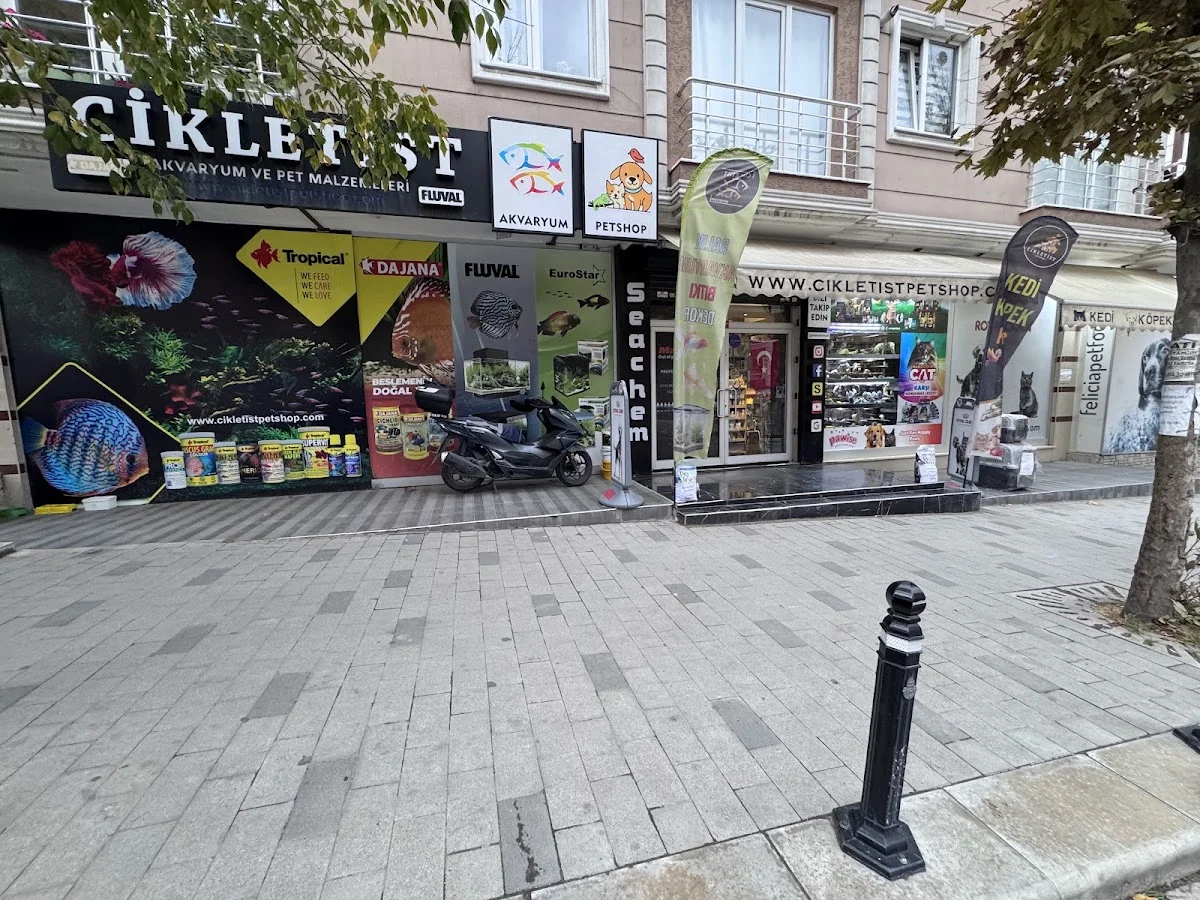 Cikletist Akvaryum Petshop – Profil fotoğrafı · Gümüşpala, İstanbul