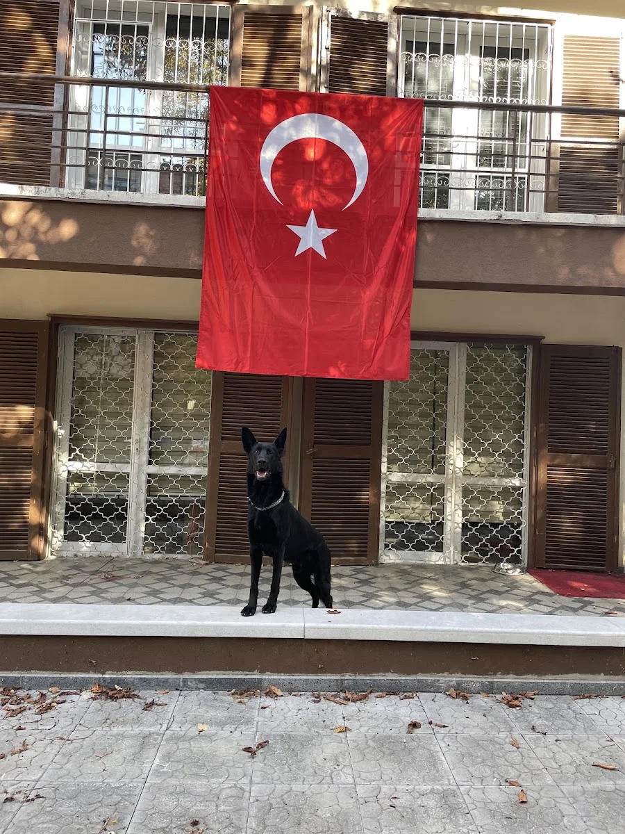 BARFTR GIDA HAYVANCILIK İMALAT PAZ.İTH.VE İHR.SAN.TİC.LTD. – Profil fotoğrafı · Küplüpinar, Bursa