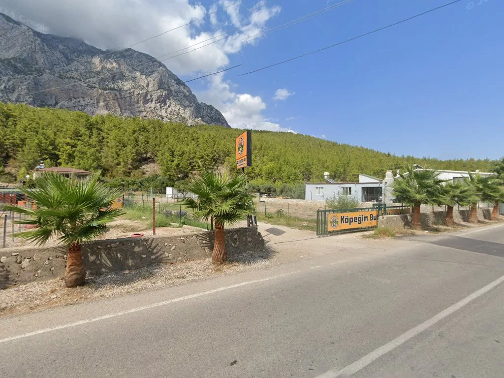 Mediterra Dog Academy & Hotel – Street View ve 360° · Gökçam, Antalya