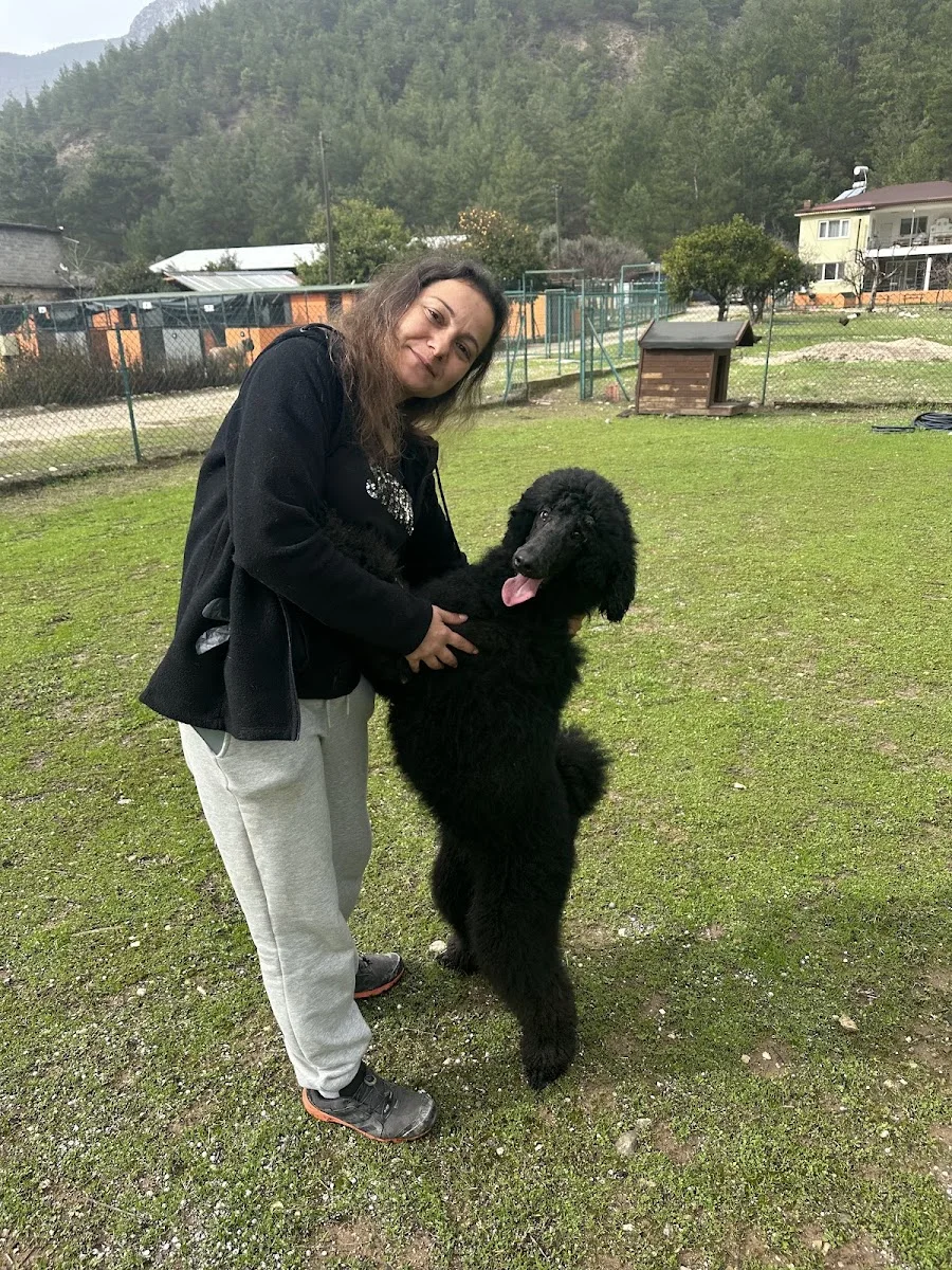 Mediterra Dog Academy & Hotel – Profil fotoğrafı · Gökçam, Antalya