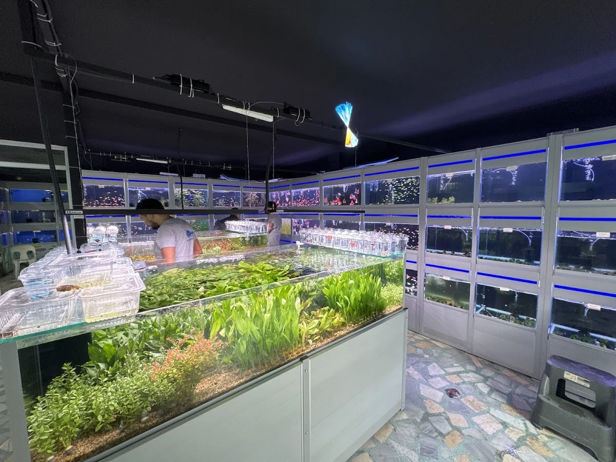 Atakan Petshop – İç · Avcilar, İstanbul
