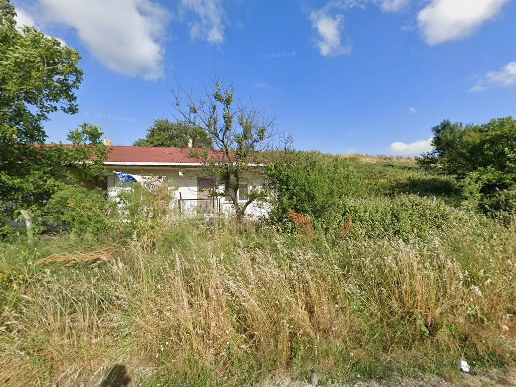 Köpek Eğitimi Merkezi - Pet Oteli ve Pansiyon Çiftliği - Köpek Eğitmeni Murat Güngör İstanbul – Street View ve 360° · Hadimköy, İstanbul