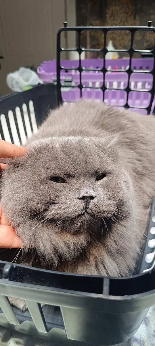 karaköprü Garfield Veteriner Kliniği – En son · Karaköprü, Şanlıurfa