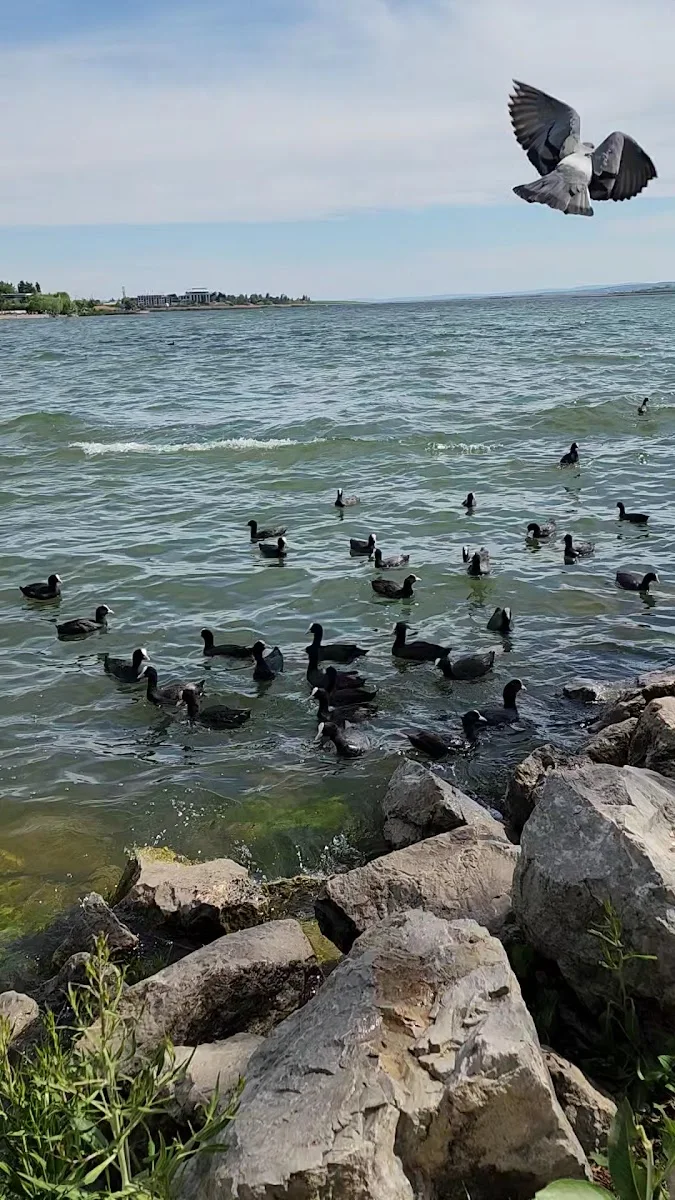 Atatürk Sahil Parkı – Ziyaretçi fotoğrafı: Havva Uslu · Karagedik, Ankara