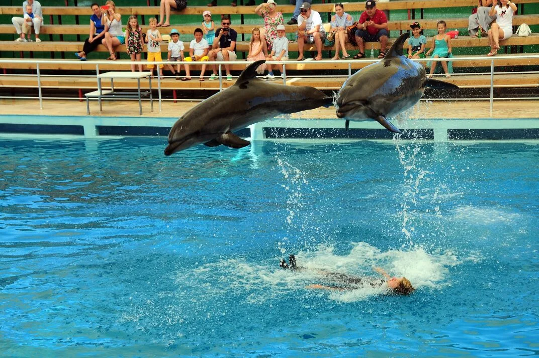Aksu Dolphin Aquarium – Sahibinin seçtikleri · Aksu, Antalya