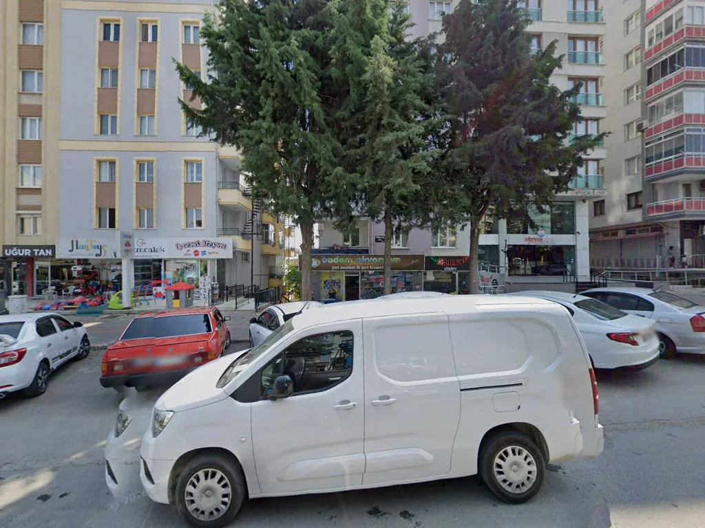 Badem Akvaryum & Petshop – Street View ve 360° · Cumhuriyet, Uşak