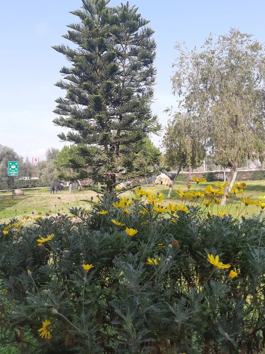 T.C. Aksu Belediye Sarayı – Ziyaretçi fotoğrafı: Ebru ELVEREN · Aksu, Antalya