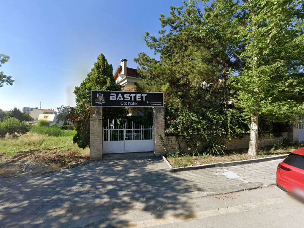 Bastet Kedi Oteli – Street View ve 360° · Bilkent, Ankara